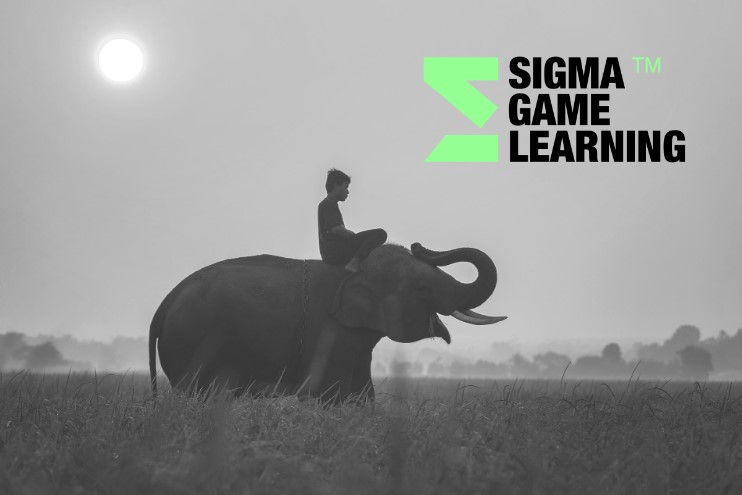 Jak ruszyć słonia, czyli Sigma GameLearning w usprawnianiu zespołu.